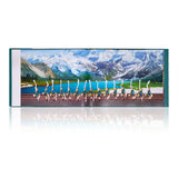 션윈 사진집 2023 Shen Yun Performance Album - 2023